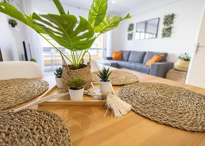 Da Rocha Solucky Daire *